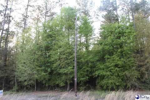 Lot 3 Reds Landing, Andrews, SC 29501