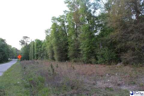 Lot 4 Reds Landing Rd, Andrews, SC 29510