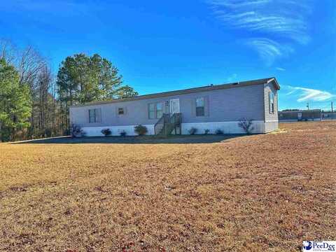 367 Nestle Down Drive, Sellers, SC 29592