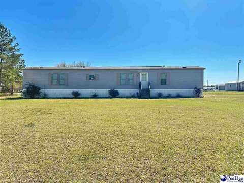 367 Nestle Down Drive, Sellers, SC 29592