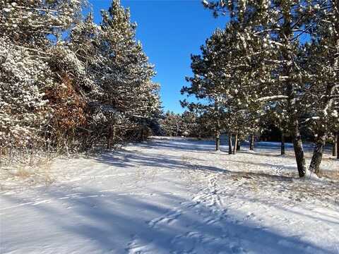 11335 E Williams Drive, Gordon, WI 54838