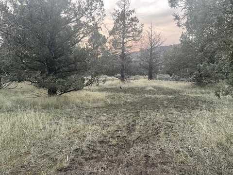 Blk 6 Lot 3 Mt Shasta Vista, Zane Grey, Montague, CA 96064