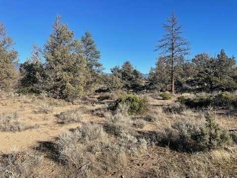 Blk 82 Lot 8 Mt Shasta Vista Nugget Rd, Montague, CA 96064