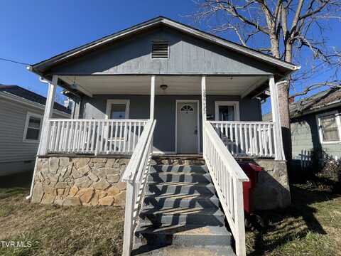 304 1/2 West Chilhowie Avenue, Johnson City, TN 37604