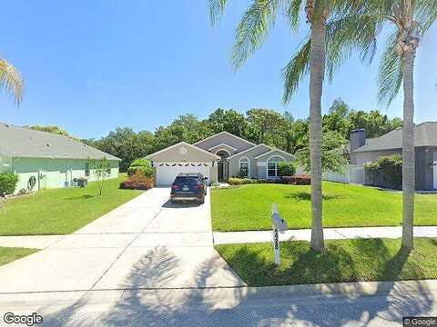 Anaconda, NEW PORT RICHEY, FL 34655