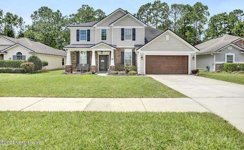 Sandhill Crane, MIDDLEBURG, FL 32068