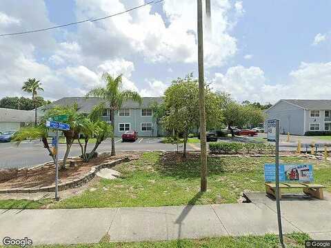 Terrace Palms Cir, Tampa, FL 33617