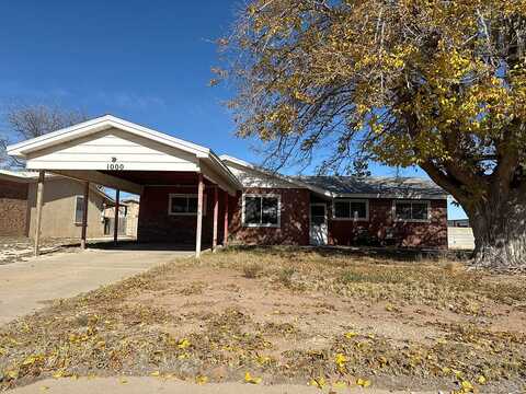 Avenue G, Eunice, NM 88231