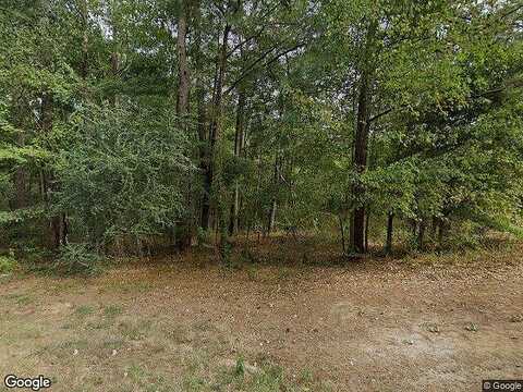 Highway 43, PELAHATCHIE, MS 39145