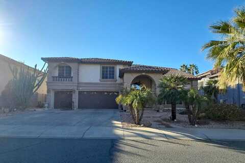 Palo Verde, LITCHFIELD PARK, AZ 85340