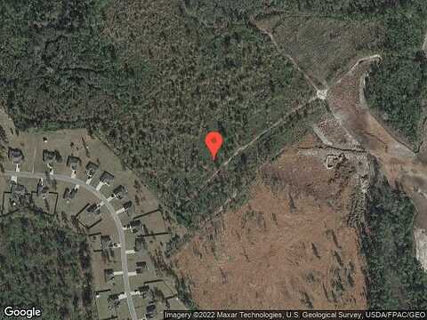 Longleaf, HINESVILLE, GA 31313