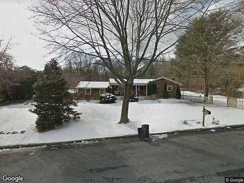 Dolphin, RIVERHEAD, NY 11901