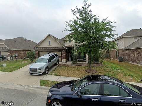 Snow Owl, BUDA, TX 78610