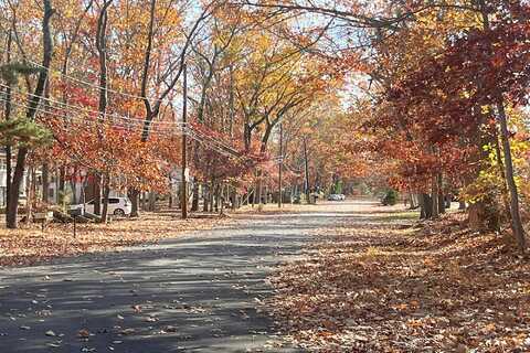 Maple, BROWNS MILLS, NJ 08015