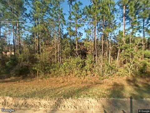 Daisy, MIDDLEBURG, FL 32068