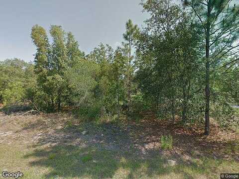 Burgandy, CITRUS SPRINGS, FL 34433