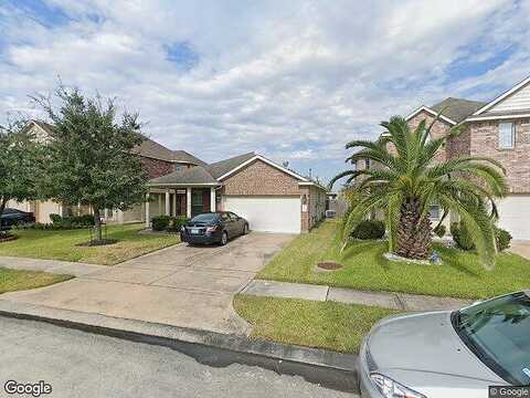 Canvasback, HOUSTON, TX 77047