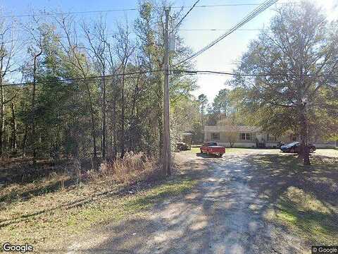 Calendula, MIDDLEBURG, FL 32068