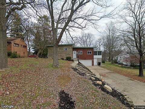 Dalmation, BETHEL PARK, PA 15102