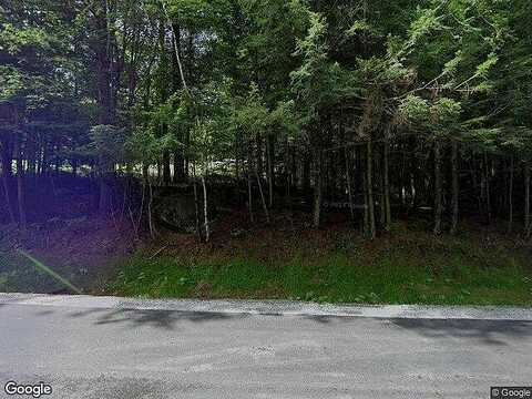 Olmstedville, POTTERSVILLE, NY 12860