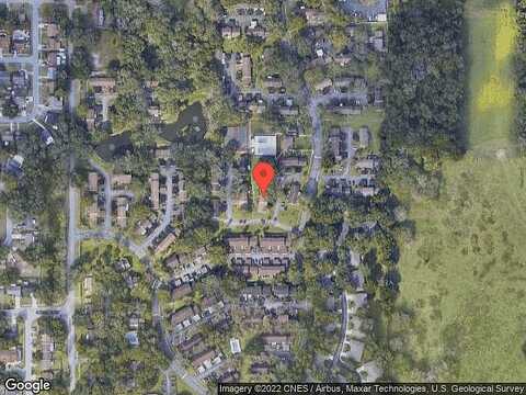 Palm, TEMPLE TERRACE, FL 33637