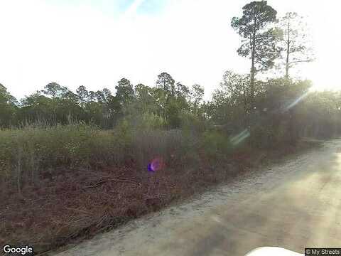 Blueberry Dr, HORTENSE, GA 31543