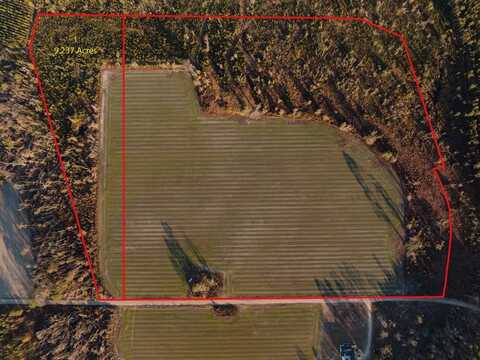 0 Chesapeake Rd (Lot 1), Alma, GA 31510