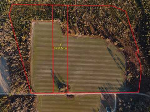 0 Chesapeake Rd (Lot 3), Alma, GA 31510