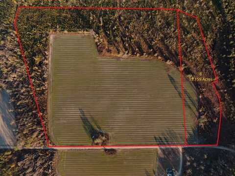 0 Chesapeake Rd (Lot 8), Alma, GA 31510