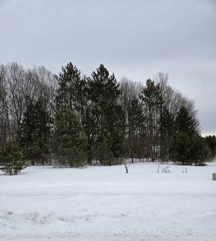 Lot 4 Krystal Meadow Lane, Gaylord, MI 49735