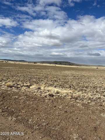 Tbd N3540 Lot 500 --, Concho, AZ 85924