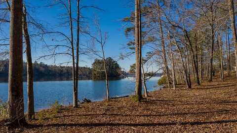 Lot 2 HINTON DRIVE, HAMILTON, GA 31811