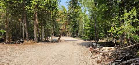 1953 S FOREST LN, CEDARVILLE, MI 49719