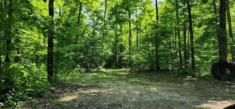 3625 E SIMMONS RD, HESSEL, MI 49745