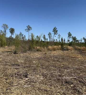TBD Mincey Dr., Loris, SC 29569