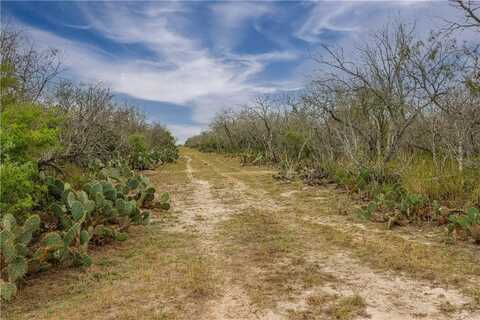 undefined, Goliad, TX 77963