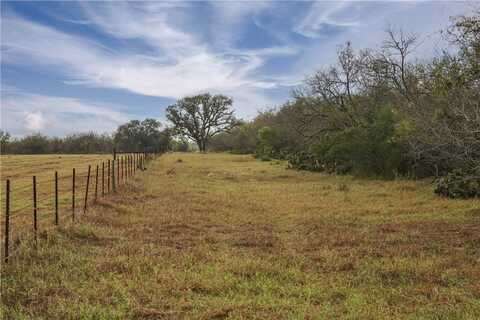 Tbd HWY 239, Goliad, TX 77963