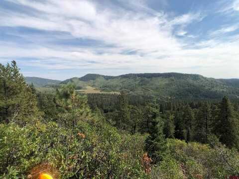 TBD Pine Ridge Drive, Bayfield, CO 81122