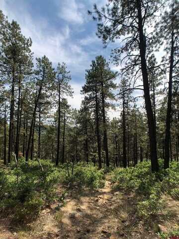 TBD Pine Ridge Drive, Bayfield, CO 81122