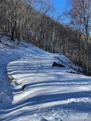 00 Wandering Trail, Waynesville, NC 28785