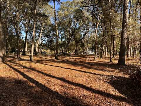 0 Cane Slash Road, Johns Island, SC 29455