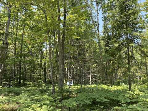 Lot 29 THIRD CREEK SUBDIVISION, Paradise, MI 49768