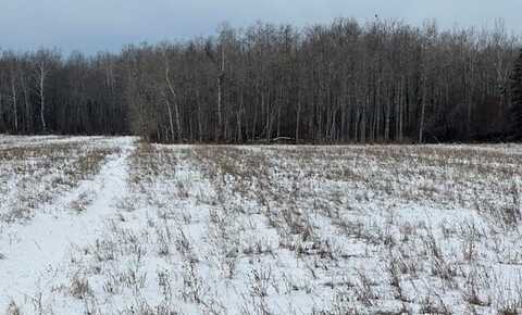 40ac M/L Hewer RD, Pickford, MI 49774