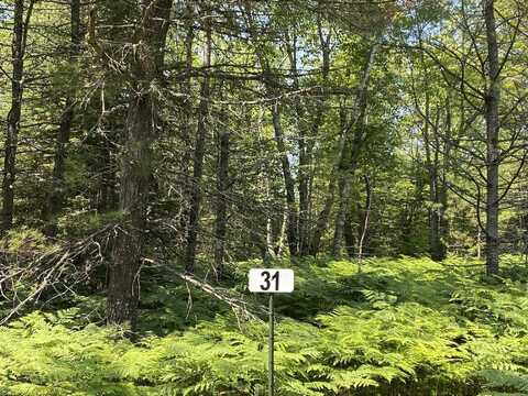 Lot 31 N Whitefish Point RD, Paradise, MI 49768