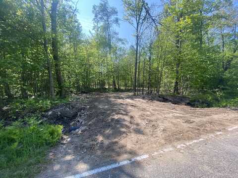 5.96 Acres S Brasser, Sugar Island, MI 49783