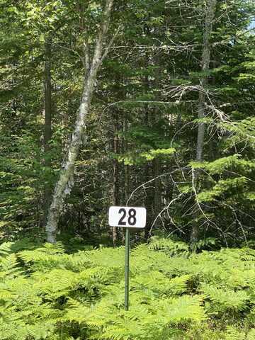 Lot 28 N Whitefish Point RD, Paradise, MI 49768