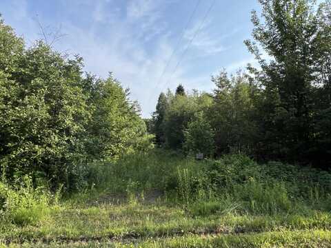 N13851 Ellen St, Grand Marais, MI 49839