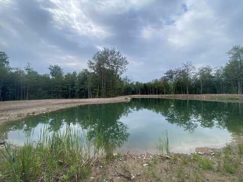 13.1 Acres S Brasser, Sugar Island, MI 49783