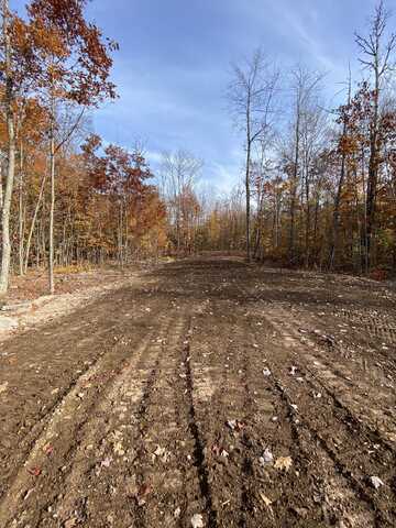 13.1 Acres S Brasser, Sugar Island, MI 49783