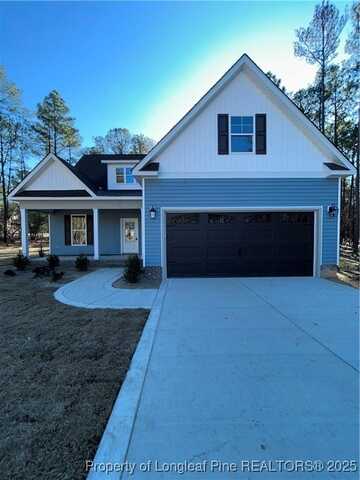 28801 Lookout Lane Lane, Wagram, NC 28396